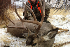miller-mule-deer-2011_6490163113_o